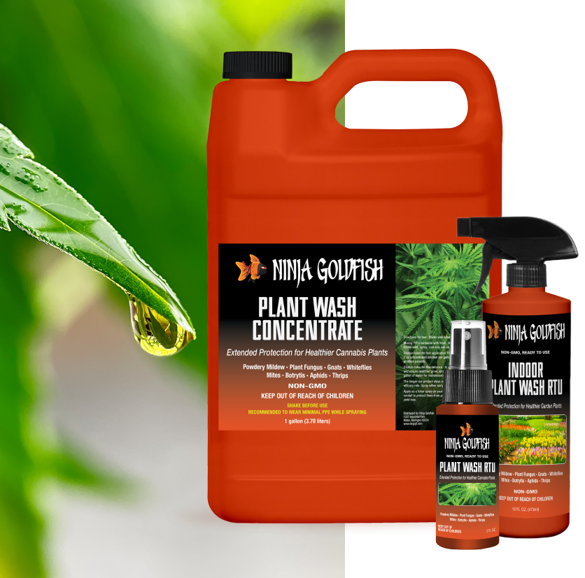 Ninja Goldfish Cannabis Plant Wash Concentrate
